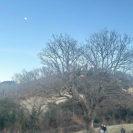 Val Di Tufo Séjour à la ferme Montalcino